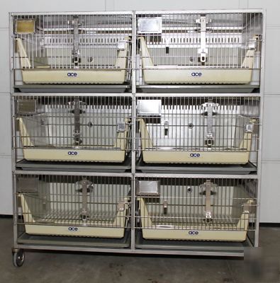 Dog cat rabbit stainless steel 6 cage unit allentown 