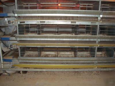 Egg laying hen chicken cage system