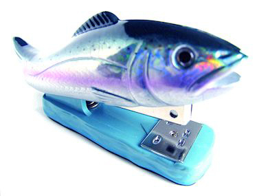 Rainbow trout multi-colored fish stapler catch one 