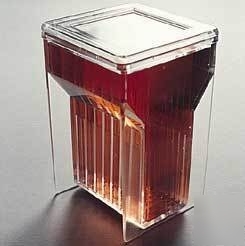 Vwr staining jar with cover, hellendhal type : K355-vwr