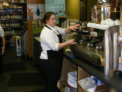 Rancilio classe 10 sde 3G gold dome espresso machine