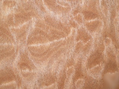 Nice pomelle makore veneer 9+ sq. ft. lot 5191