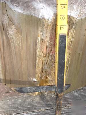 Log scaling ruler,scale stick,logging,logger,lumberjack