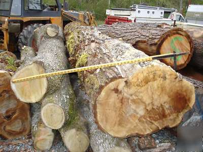 Log scaling ruler,scale stick,logging,logger,lumberjack