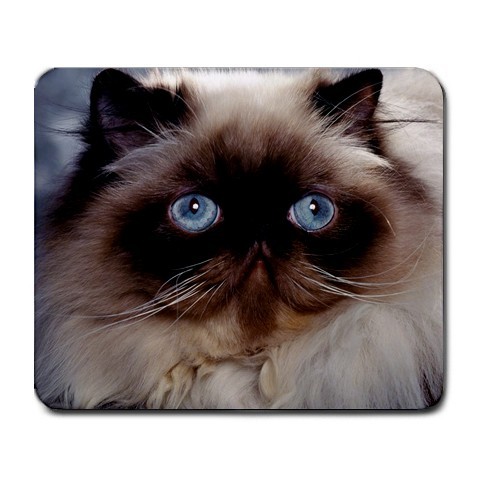 New large sexy computer mat cats kitty art mousepad