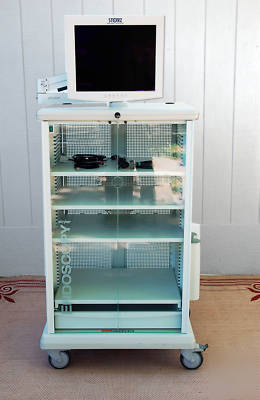 Stryker extra wide or equipment cart w / monitor arm 