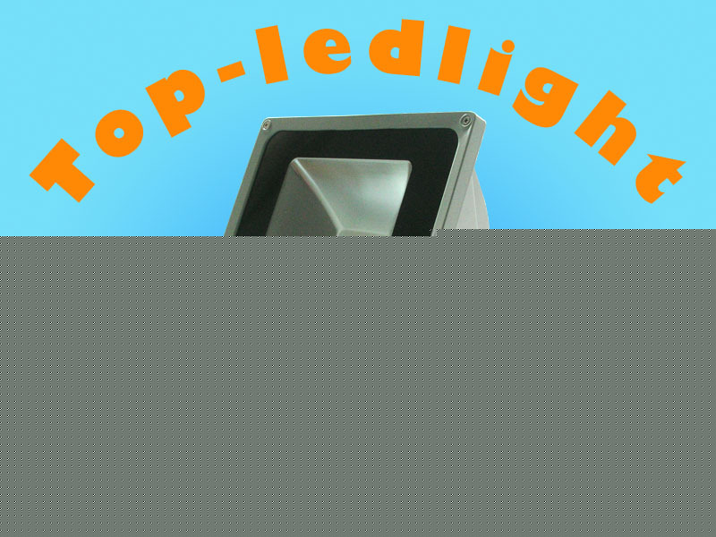 High power led bulb lamp 100W f garden/landscape/stage