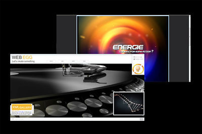 2 expensive flash website templates - easy to customize