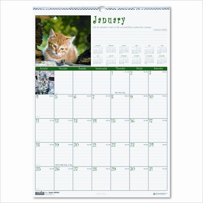 Earthscapes kittens monthly wall calendar, 12 x 16-1/2