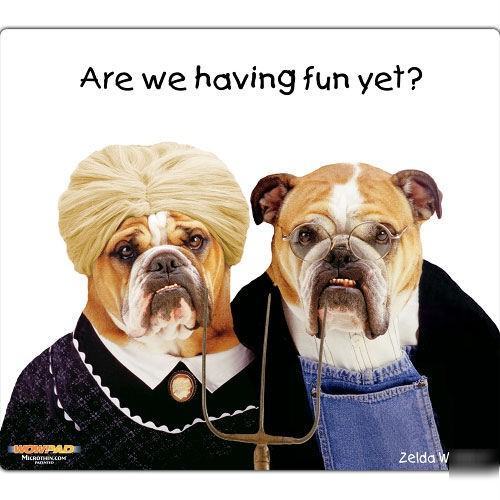 Zelda wisdom are we having fun yet microthin mouse pad