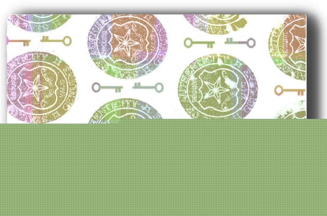 10 holographic id card overlays. stop fake cards