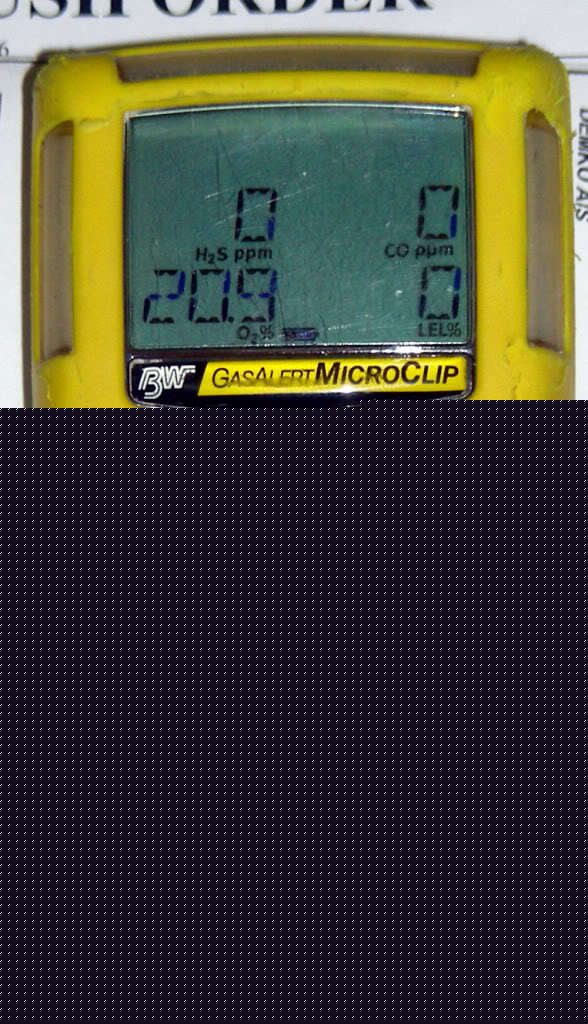 Bw gas alert micro clip monitor detector O2 co H2S lel 