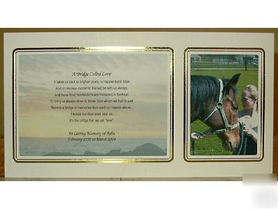 Pet memorial: a bridge called love 