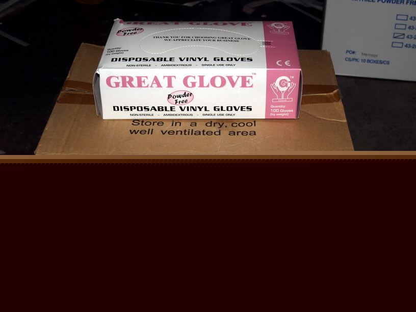 1000 disposable hd vinyl gloves powder free large