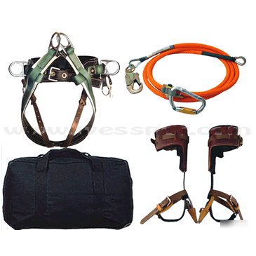 Buckingham wide back harness and tree spur kit w/ accys