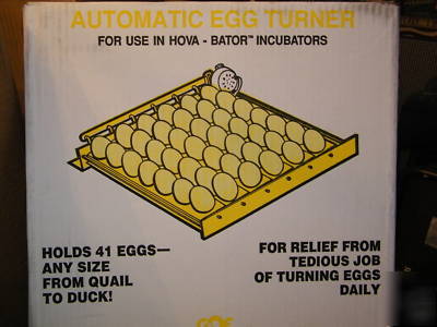 New #1611 universal auto egg turner for chicken eggs