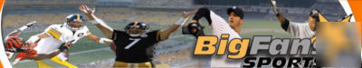 Sell licensed sports memoribilia on ebay.nfl, mlb, ncaa