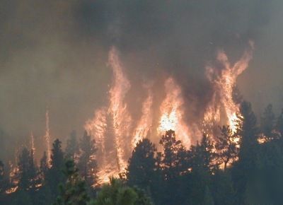 Wildland fire behavior firefighting training dvd 