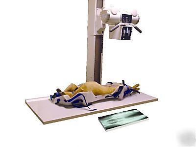 X-ray pawsitioner xray - free shipping