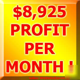 Established money maker website business makes money