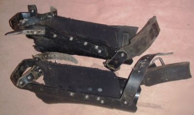 Wolf tree climbing spurs