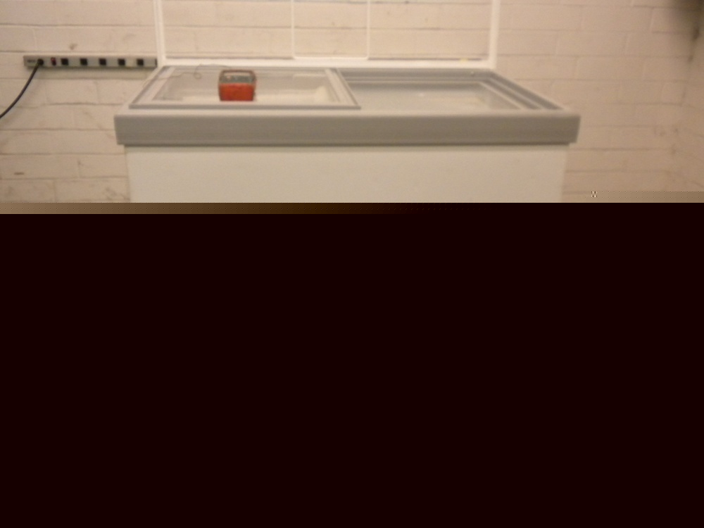 Carrier frozen product ice cream freezer merchandiser