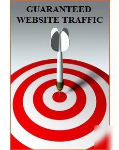 1000 website visitors. guaranteed website traffic.