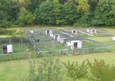 Poultry aviary gamefowl heavy net netting 2