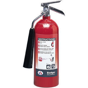 New wise 5LB C02 self expelling fire extinguisher 