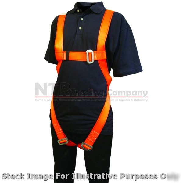 Single point fall arrest harness karabiner lanyard kit