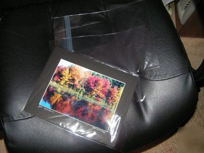 (100 pack) clear bags 10X12 sleeves protectors low cost