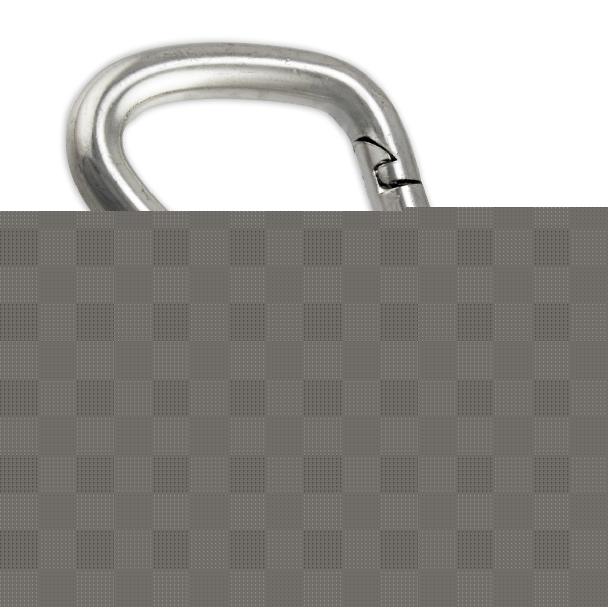 Stainless steel spring snap link - 3/16