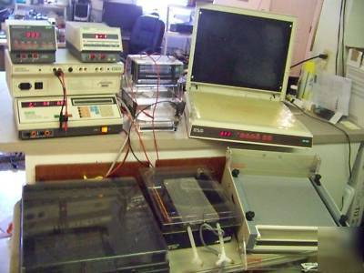 10 pcs apparatus rflp electrophoresis laboratory dna