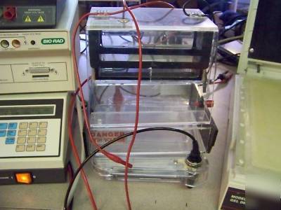 10 pcs apparatus rflp electrophoresis laboratory dna