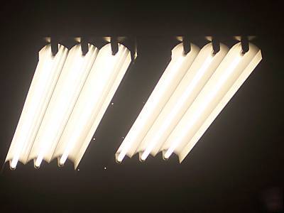 New T5 fluorescent high bay light fixtures specular
