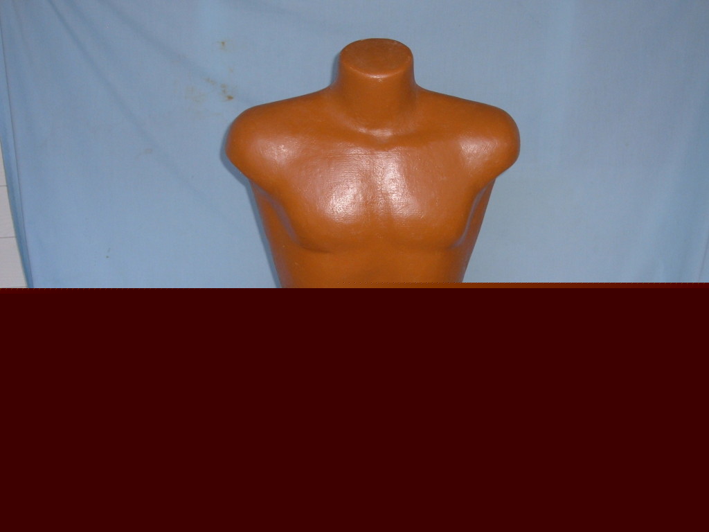 Adult mannequin torso & vintage 24