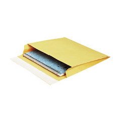 Survivor openside mailers plain 40LB 10X13X2 100CT kra