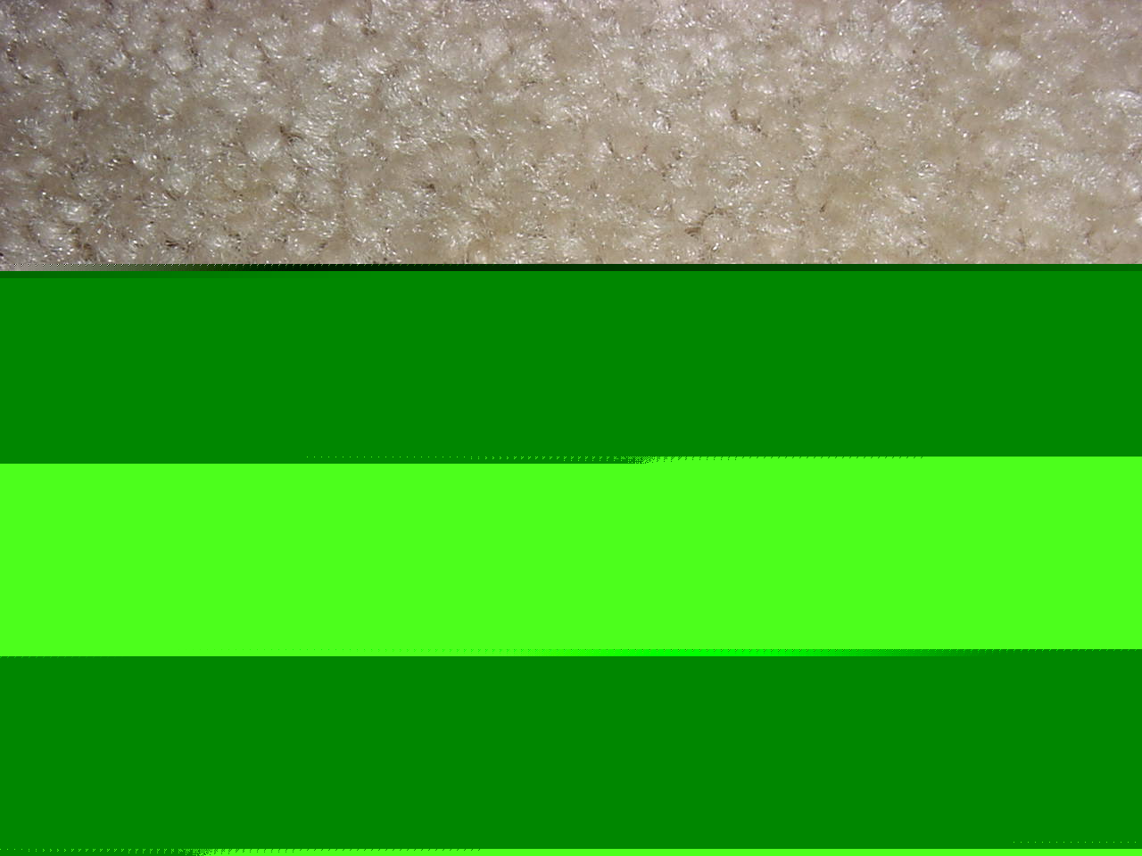 New greenfield 5/16-24 nf GH3 H3 tap 