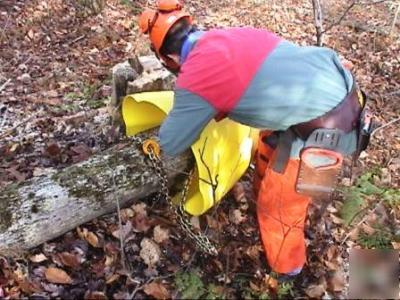 Tree recovery skid cone slides over obstacles-plant 2 u