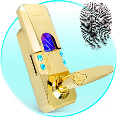 Fingerprint access security code door lock gold edition