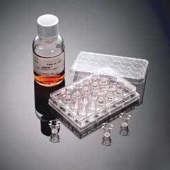 Bd biocoat matrigel invasion chambers, bd biosciences