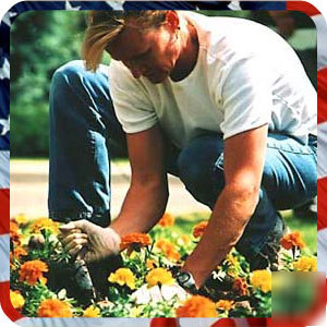 Gardening website store & blog - business for sale