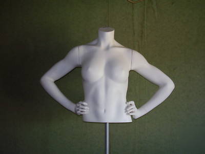 silvestri ca,co fiberglass female torso with stand