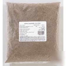 Bermuda grass seed 