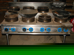 Rankin-delux model orsu-848-c 8 gas wok range
