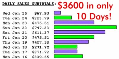 Established domain flipping business $3600 in ten days 