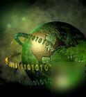 Excellent site promotion software tools 