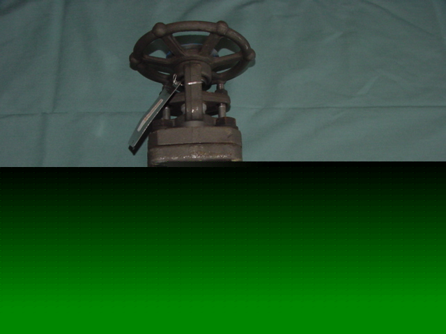 New bonney forge 1 1/2 inch socket weld gate valve 40MM