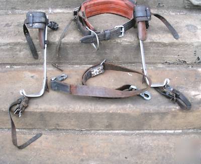 Bashlin safety belt & climbing spikes-gaffs