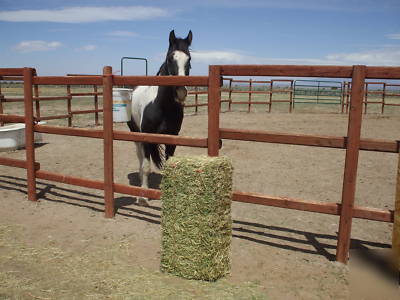 Colorado alfalfa / alfalfa grass mix